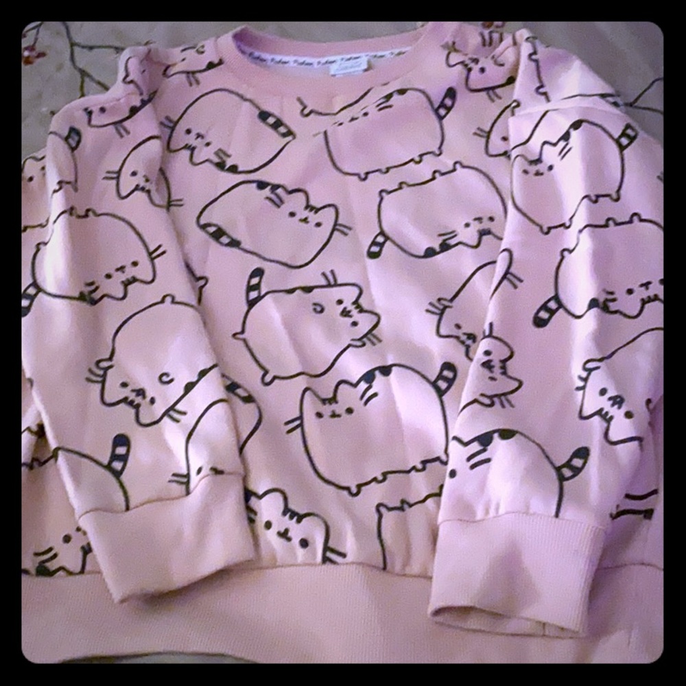 Pusheen  the Cat 🐈 pink kitty pullover! 💗💖